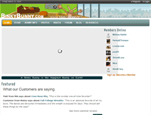 Tablet Screenshot of binkybunny.com